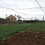 別荘 Avo Lucindinha House -