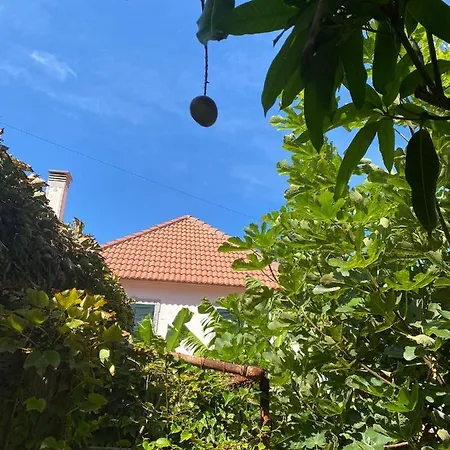 Avo Lucindinha House - 度假居