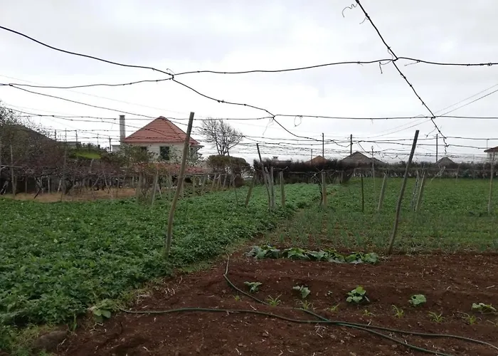 Prázdninový dům Avo Lucindinha House -