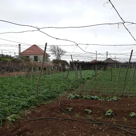 Prázdninový dům Avo Lucindinha House -