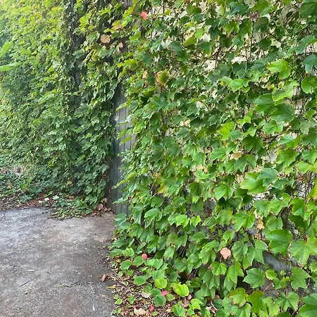 Avo Lucindinha House - Порту-Мониш