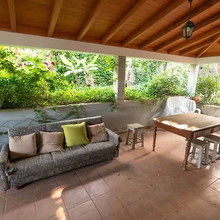 Avo Lucindinha House - *