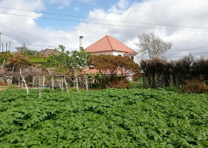 度假居 Avo Lucindinha House -