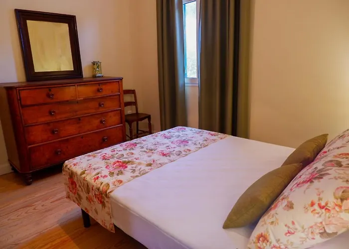 Avo Lucindinha House - 度假居