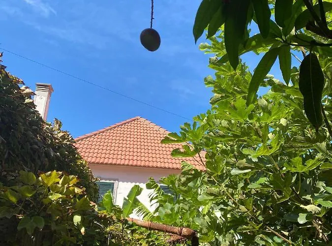 Avo Lucindinha House - 度假居