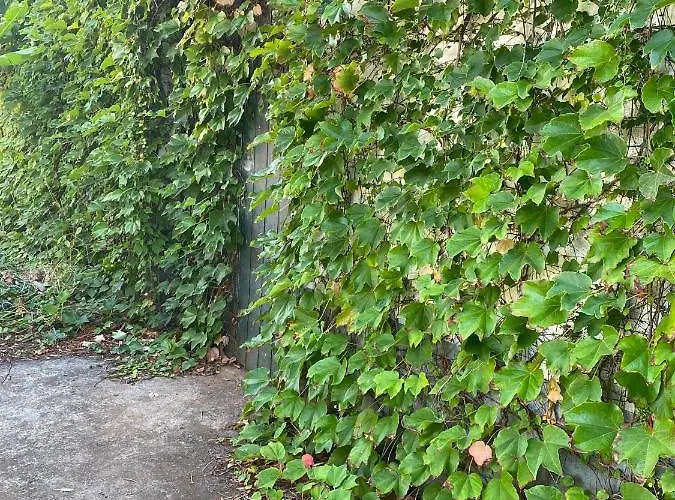 Avo Lucindinha House - 莫尼兹港