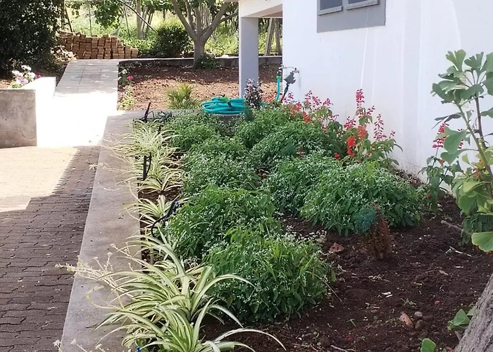 Avo Lucindinha House - 度假居 *